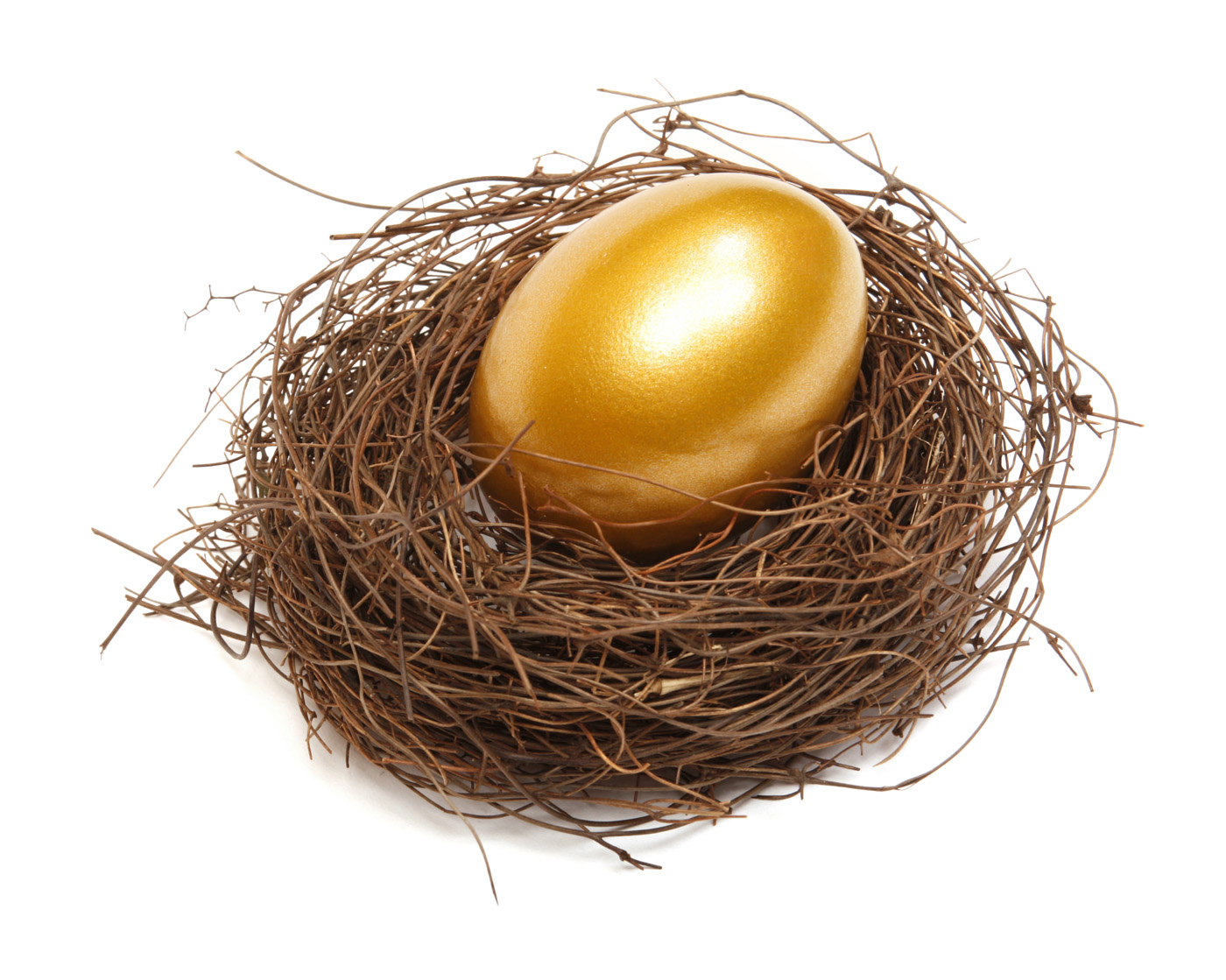 services-nest-egg-investments